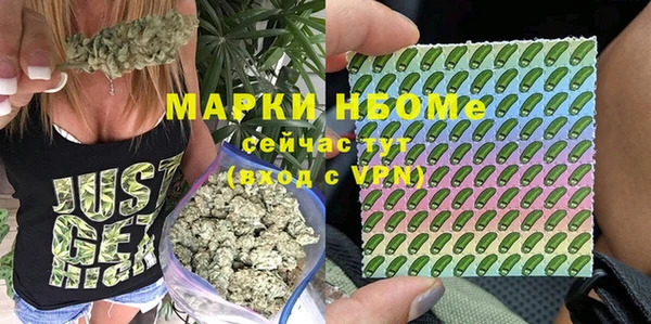 прущий лед Надым